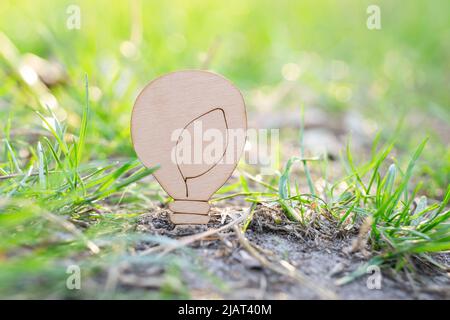 Ampoule plate en bois qui dépasse du sol dans la forêt. Ressources énergétiques renouvelables. Banque D'Images