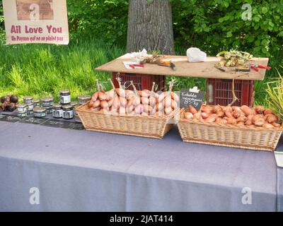 Beervelde, Belgique, 08 mai 2022, marché de la cale avec des types d'oignons à vendre ainsi que de la gelée d'oignons Banque D'Images