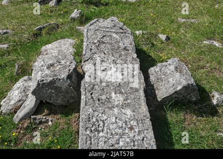 Police (Dolovi – planina Visočica, Konjic, Bosnie-Herzégovine – Mai 2022: Tombes médiévales / Stećci sur nécropole police. Inscripted comme nation Banque D'Images