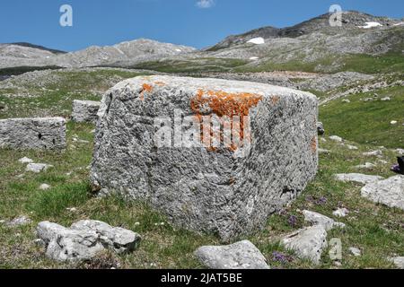 Police (Dolovi – planina Visočica, Konjic, Bosnie-Herzégovine – Mai 2022: Tombes médiévales / Stećci sur nécropole police. Inscripted comme nation Banque D'Images