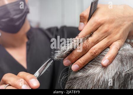 Le coiffeur coupe avec des ciseaux les extrémités des cheveux d'une ferme senior Banque D'Images