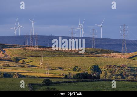 Parc éolien et pylônes d'électricité dans la campagne de Bury. Banque D'Images