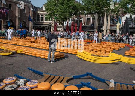 Alkmaar, pays-Bas, mai 2022. Les porte-fromages au marché aux fromages d'Alkmaar. Photo de haute qualité Banque D'Images