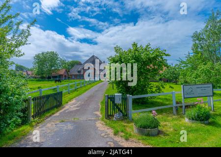 Ville de campagne Vollerwiek o la mer du Nord, péninsule Eiderstedt, Frise du Nord, Schleswig-Holstein, Allemagne du Nord Banque D'Images