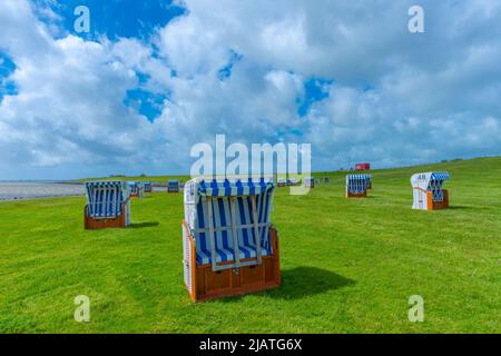 Ville de campagne Vollerwiek o la mer du Nord, péninsule Eiderstedt, Frise du Nord, Schleswig-Holstein, Allemagne du Nord Banque D'Images