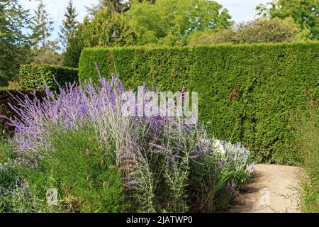 GIVERNY, FRANCE - 31 AOÛT 2019 : c'est un coin confortable du jardin coloré et animé du musée impressionniste. Banque D'Images