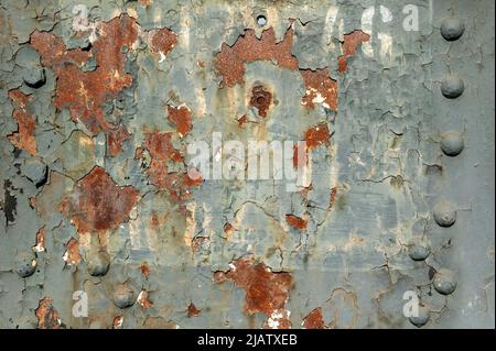 Peinture écaillée texture rouille grunge arrière-plan d'un panneau texturé en fonte d'époque peint en blanc gris avec rivets en métal, photo de stock Banque D'Images