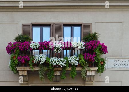 Fenêtre avec fleurs à Rome Banque D'Images