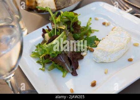 Fromage Saint Marcellin avec pignons de pin Banque D'Images