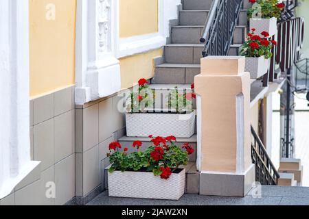 Escaliers de bâtiment avec pots de fleurs blanches sur des marches plantes décoratives près de la façade du bâtiment sur l'élévation avec des rails en fer, l'architecture est décorée Banque D'Images