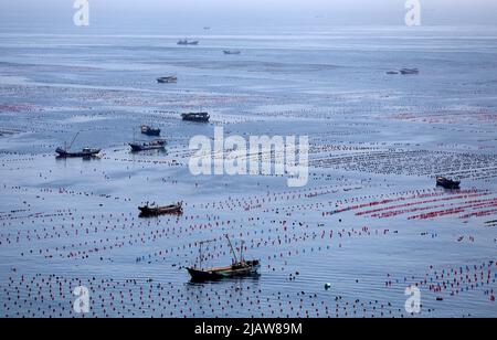 Changhai, province chinoise de Liaoning. 1st juin 2022. Les pêcheurs travaillent dans un ranch marin du canton de Haiyangdao, dans le comté de Changhai, à Dalian, dans la province de Liaoning, au nord-est de la Chine, à 1 juin 2022. Plus de 10 zones de démonstration de ranchs marins au niveau de l'État ont été approuvées dans le comté de Changhai depuis 2016. Credit: Yao JIANFENG/Xinhua/Alay Live News Banque D'Images