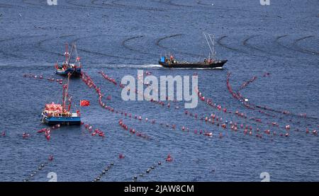 Changhai, province chinoise de Liaoning. 31st mai 2022. Les pêcheurs travaillent dans un ranch marin du canton de Haiyangdao, dans le comté de Changhai, à Dalian, dans la province de Liaoning, au nord-est de la Chine, à 31 mai 2022. Plus de 10 zones de démonstration de ranchs marins au niveau de l'État ont été approuvées dans le comté de Changhai depuis 2016. Credit: Yao JIANFENG/Xinhua/Alay Live News Banque D'Images