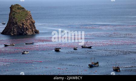 Changhai, province chinoise de Liaoning. 31st mai 2022. Les pêcheurs travaillent dans un ranch marin du canton de Haiyangdao, dans le comté de Changhai, à Dalian, dans la province de Liaoning, au nord-est de la Chine, à 31 mai 2022. Plus de 10 zones de démonstration de ranchs marins au niveau de l'État ont été approuvées dans le comté de Changhai depuis 2016. Credit: Yao JIANFENG/Xinhua/Alay Live News Banque D'Images