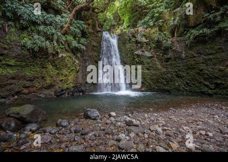 Paysages et vues et nature des Açores Sao Miguel Ponta Delgada, Mosteiros, Sete Cidades, Furnas, Lagoa do Fogo Banque D'Images