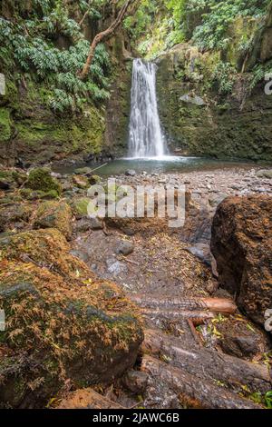 Paysages et vues et nature des Açores Sao Miguel Ponta Delgada, Mosteiros, Sete Cidades, Furnas, Lagoa do Fogo Banque D'Images