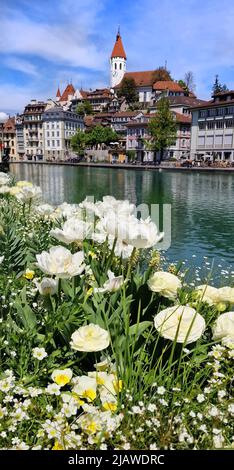 Voyage en Suisse - belle ville de Thun. Lac Thun, canton de Berne Banque D'Images