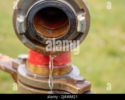 Des bouches d'eau dans le parc. Système d'arrosage Banque D'Images