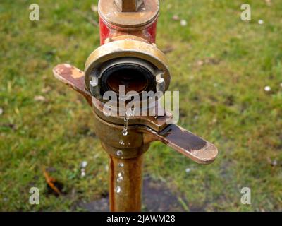 Des bouches d'eau dans le parc. Système d'arrosage Banque D'Images