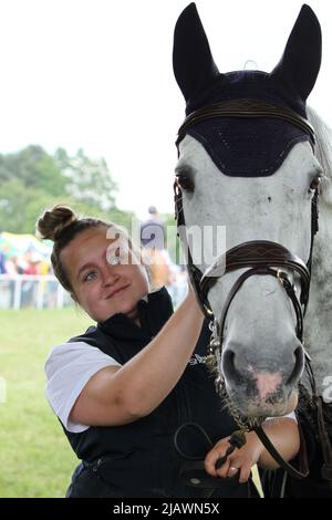 Ipswich, Royaume-Uni. 01st juin 2022. Après avoir été annulé en 2020 et 2021 en raison des restrictions de Covid, le Suffolk Show retourne à Ipswich. Des chevaux de toutes sortes composent une grande partie du spectacle. Crédit : Eastern Views/Alamy Live News Banque D'Images