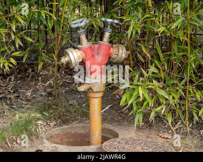 Des bouches d'eau dans le parc. Système d'arrosage Banque D'Images