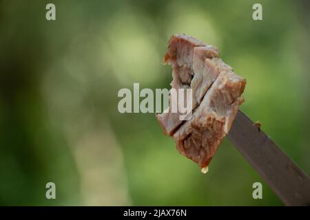 brochettes de porc frites sur un couteau sur fond vert dans la forêt, brochettes frites, viande sur un noeud Banque D'Images