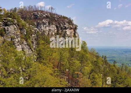 Pilot Mountains, à 2421 pieds au-dessus du niveau de la mer, est ce qui reste de l'ancienne chaîne de la montagne Sauratown. Banque D'Images