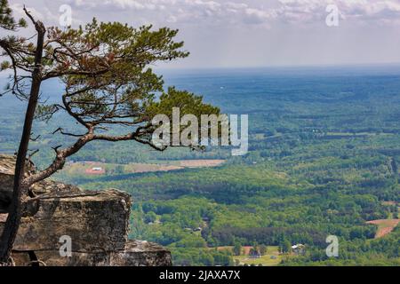 Pilot Mountains, à 2421 mètres au-dessus du niveau de la mer, est ce qui reste de l'ancienne chaîne de Sauratown Mountain en Caroline du Nord. Banque D'Images