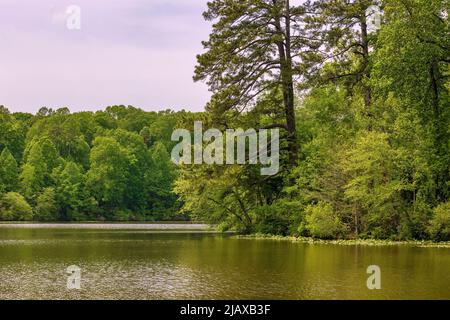 Paysage d'un étang de 24 acres se nourrissent par le ruisseau de colline abrupte et créé par un barrage qui alimente le moulin de Grist sur le même parc national. Banque D'Images