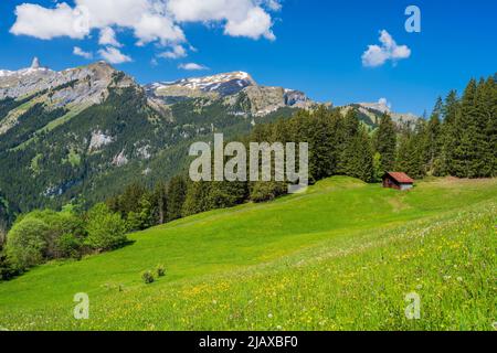 Paysage alpin estival pittoresque, Wengen, canton de Berne, Suisse Banque D'Images