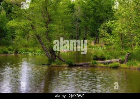 Paysage d'un étang de 24 acres se nourrissent par le ruisseau de colline abrupte et créé par un barrage qui alimente le moulin de Grist sur le même parc national. Banque D'Images