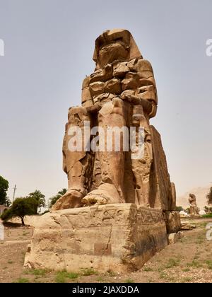 colosse de la statue de memnon en égypte Banque D'Images