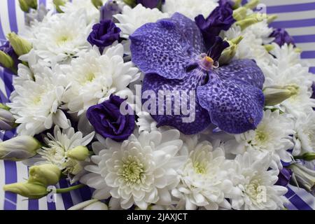 Un magnifique bouquet de chrysanthèmes blancs et de fleurs et roses d'orchidées bleues de Vanda Sansai. Vue de dessus, gros plan. Banque D'Images