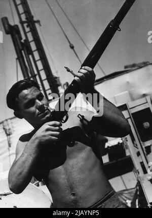 Personnel de HMAS Népal -- fusil japonais capturé par Commandos ***** En cours d'examen par AB F. Odmark, de Sydney. 26 mars 1945. Banque D'Images