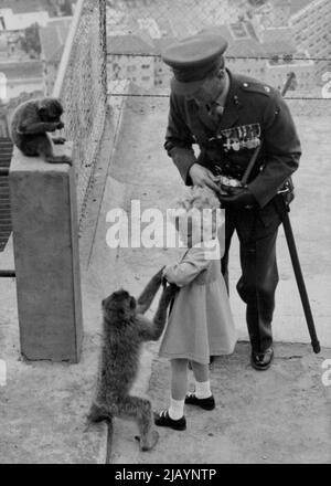 Le prince Charles et la princesse Anne visitent les singes à Gibraltar -- « maintenant, attendez une minute » un des jeunes singes essaie de prendre le sac d'arachides de la petite princesse Anne, en les nourrissant aujourd'hui. Avant que H.M. la Reine et le duc d'Édimbourg ne partent de Gibraltar ce matin, ils ont fait une visite à la célèbre colonie de singes avec le prince Charles et la princesse Anne - la légende l'a fait que si les singes disparaissent, Le règne de Gibraltar en Grande-Bretagne prendra fin. Il s'agissait de la deuxième visite aux singes du prince Charles et de la princesse Anne, et bien que le prince Charles ne soit pas sûr, la princesse Anne Prance était quotidienne de o Banque D'Images