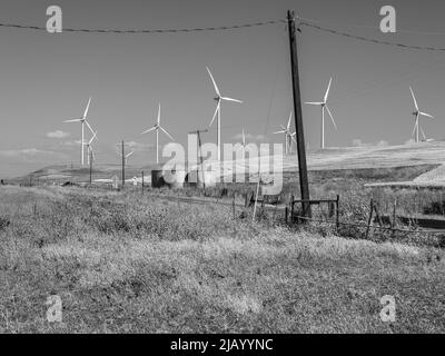 Il s'agit de la centrale éolienne Shiloh à Montezuma Hills, comté de Solano, Californie. Trois silos agricoles partagent les terres agricoles avec des éoliennes Banque D'Images