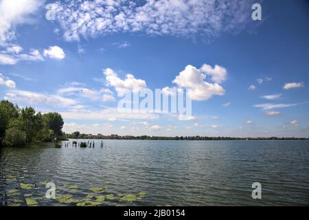 Bosquet au bord du lac avec des nénuphars sur l'eau par une journée ensoleillée Banque D'Images