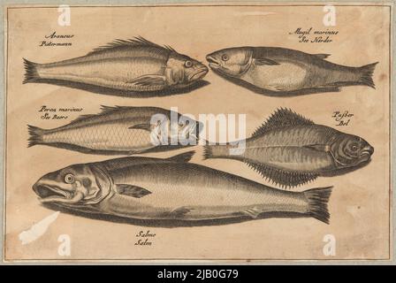 Cinq poissons de différentes espèces Collaert, Adrian (vers 1560 1618), Visscher, Claes Jansz. (1586 1652), Inconnu Banque D'Images