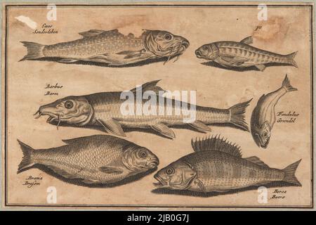 Le poisson Collaert, Adrian (vers 1560 1618), Visscher, Claes Jansz. (1586 1652), Inconnu Banque D'Images