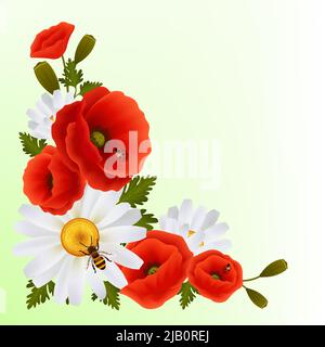 Fleurs de pavot fleurs éclatantes et marguerites fond avec coccinelles et bee vector illustration Illustration de Vecteur