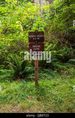 Île de Whidbey, WA, Etats-Unis - 20 août 2021: Les différents types d'essais allant à sa destination pittoresque Banque D'Images