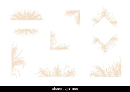 Herbe de pampas sèche. Ensemble de cadres à bordure fleurie. cortaderia beige de style boho. Fleurs vectorielles isolées sur fond blanc. Modèles tendance Illustration de Vecteur