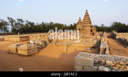 INDE, TAMILNADU, MAHABALIPURAM, mars 2022, dévot au Temple Shore, Temple hindou du 8th siècle Banque D'Images