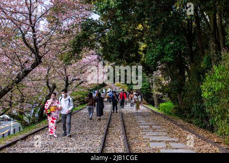 Keage Incline avec des arbres Sakura (Somei Yoshino). Il s'agit d'une pente de 582 mètres de long avec des voies de chemin de fer que l'on appelle le point d'observation populaire des cerisiers en fleurs Banque D'Images