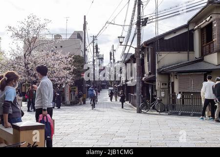 Pont Tatsumi-bashi avec fleur de cerisier Sakura au printemps. Le Tatsumi Bashi est l'endroit magnifique et emblématique de Gion. Il y a des touristes porter Kimono Banque D'Images