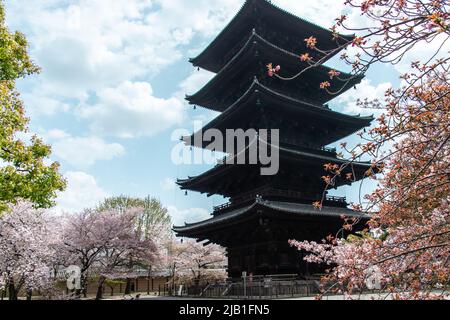 La Pagode (gojunoto) de 5 storied de to-ji. La pagode originale a été construite au 9th siècle et a été reconstruite par ordre il est de 54,8 mètres (180 pieds) de haut Banque D'Images