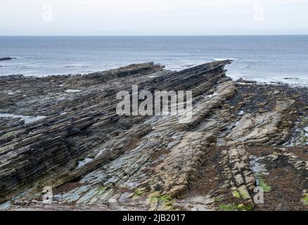 Plaques de pierre sur la côte rocheuse, Birsay, Orkney West continent, Orkney Islands, Écosse. Banque D'Images