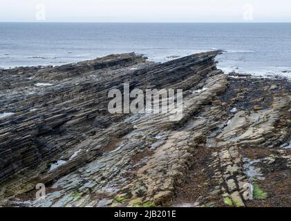 Plaques de pierre sur la côte rocheuse, Birsay, Orkney West continent, Orkney Islands, Écosse. Banque D'Images