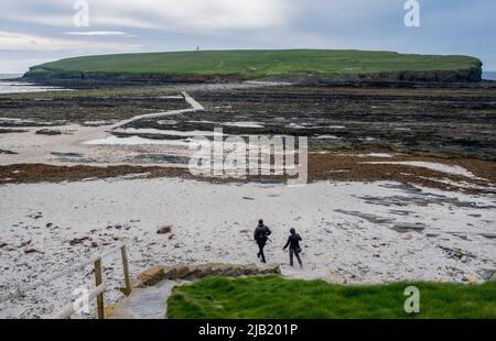 Deux personnes traversent le continent d'Orkney à marée basse jusqu'au brough de Birsay, île de Birsay, Orkney, Écosse. Banque D'Images