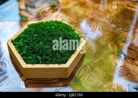 La mousse stabilisée dans une boîte hexagonale en bois se tient sur une table en résine époxy. Intérieur écologique, vitrine pour la mise en vente d'articles Banque D'Images