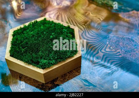 La mousse stabilisée dans une boîte hexagonale en bois se tient sur une table en résine époxy. Intérieur écologique, vitrine pour la mise en vente d'articles Banque D'Images